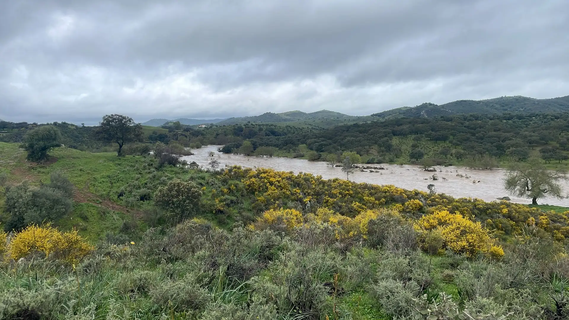 Paisaje verde con un río