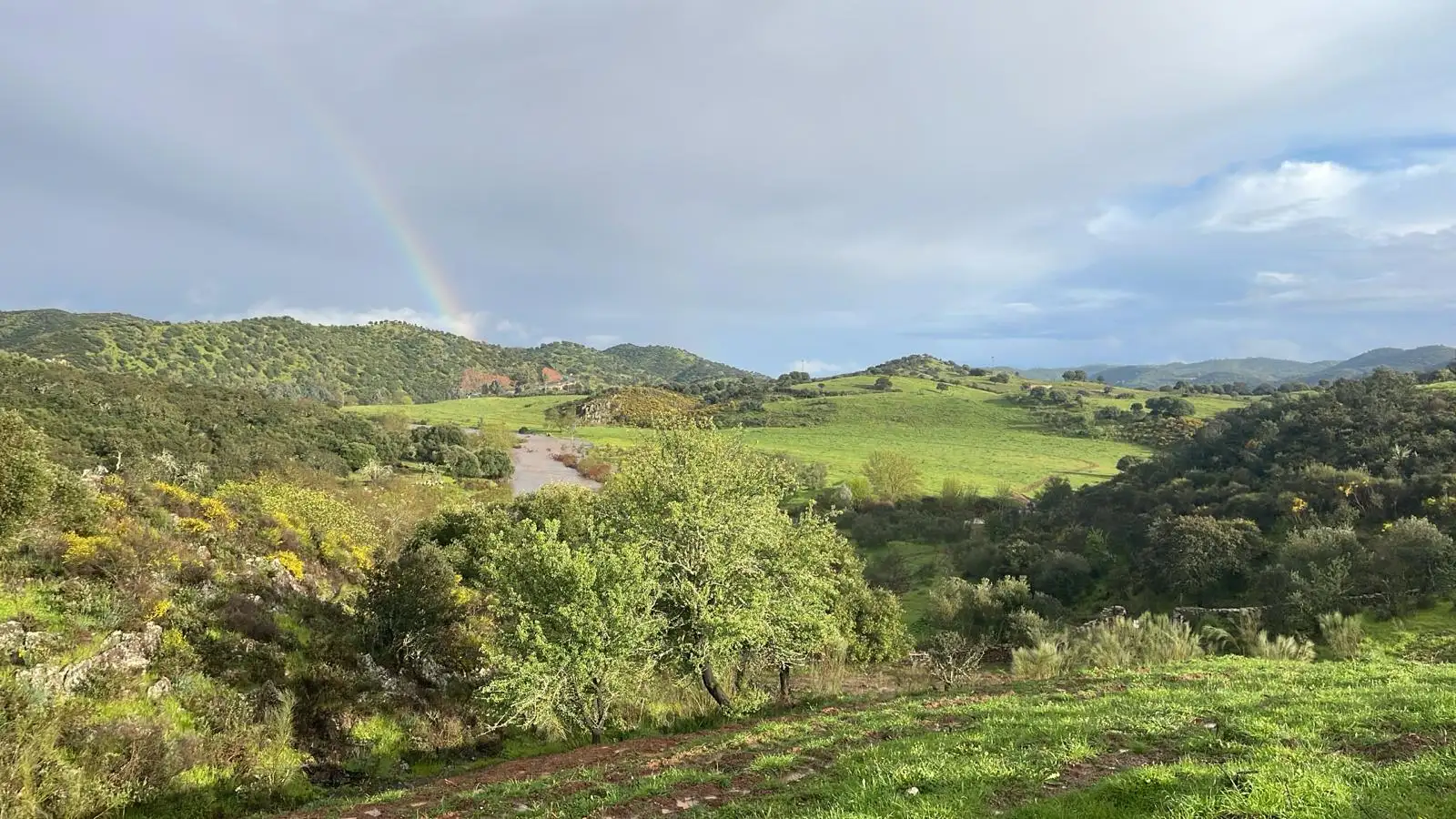 Paisaje verde con un río y un arcoíris al fondo